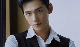 最新爆料顶流男星,从爆红到巅峰的蜕变之路