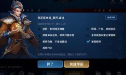 王者荣耀帝君爆料视频,王者荣耀新英雄与神秘事件